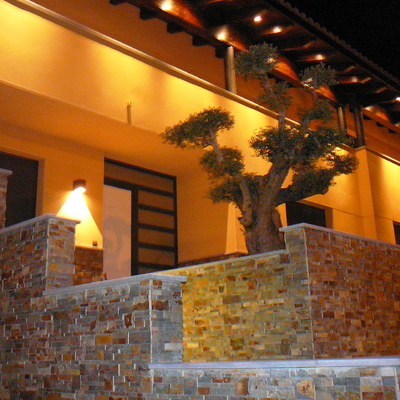 Vivienda unifamiliar aislada. De noche