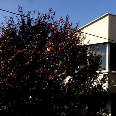 vivienda unifamiliar