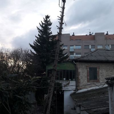 Tala controlada por secciones