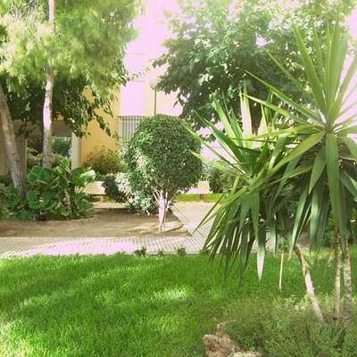 paisajismo y Jardinería