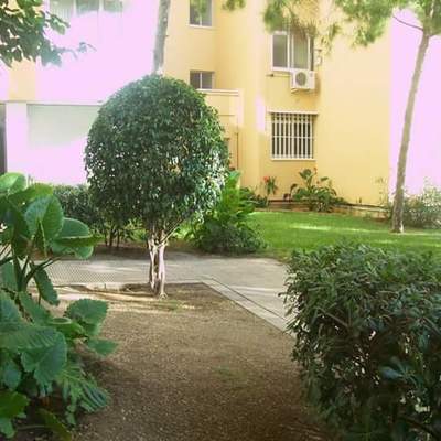 paisajismo y Jardinería