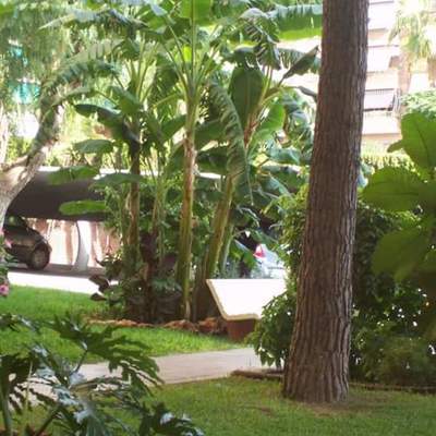 paisajismo y Jardinería