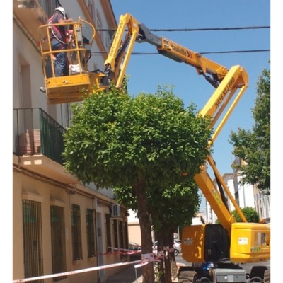 Trabajos verticales.