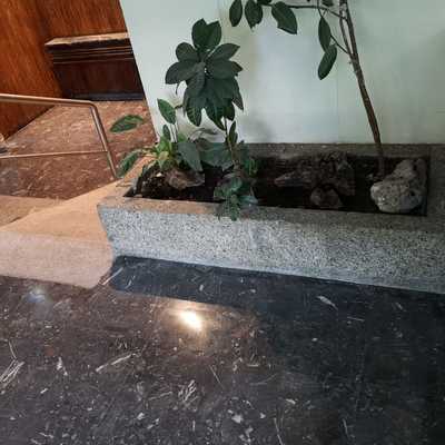 Limpieza general y abrillantado de hall de entrada portal