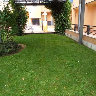 Mantenimiento semanal de jardineria