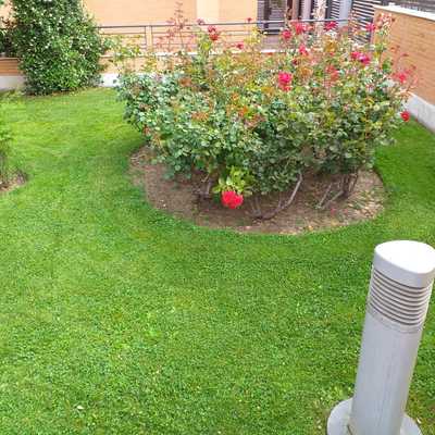 Mantenimiento semanal de jardineria