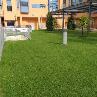 Mantenimiento semanal de jardineria