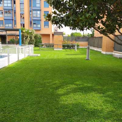 Mantenimiento semanal de jardineria