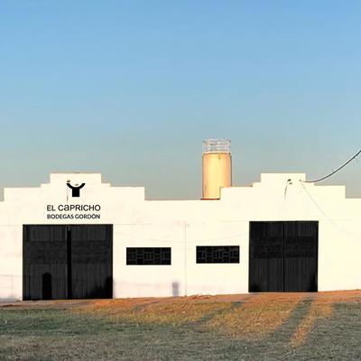 pintura de exterior y aplicacíon de vinilo