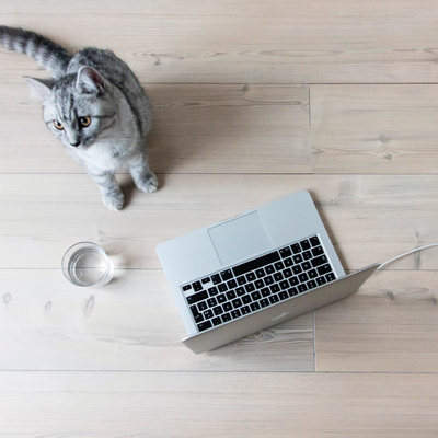 SUELOS BERRY White-Pine-5211-RSH2