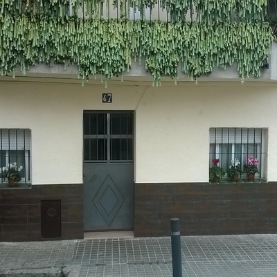 Alicatado y pintura planta baja