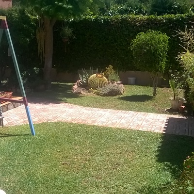 Mantenimiento de Jardín. Cliente Privado