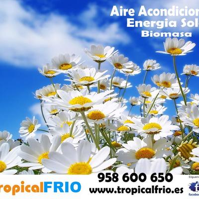 www.tropicalfrio.es
