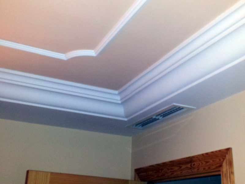 Bandeja pecho paloma con baqueton de plantilla.