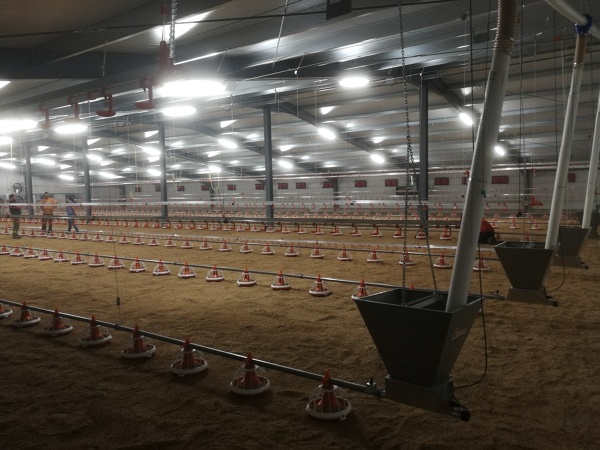 instalación eléctrica granjas