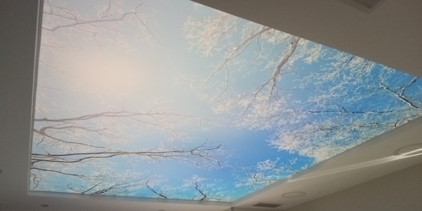 Techo Tensado impreso