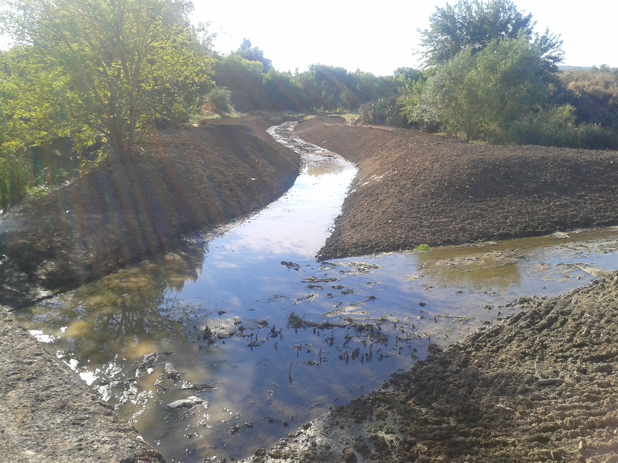 Cauce arroyomolinos en andujar