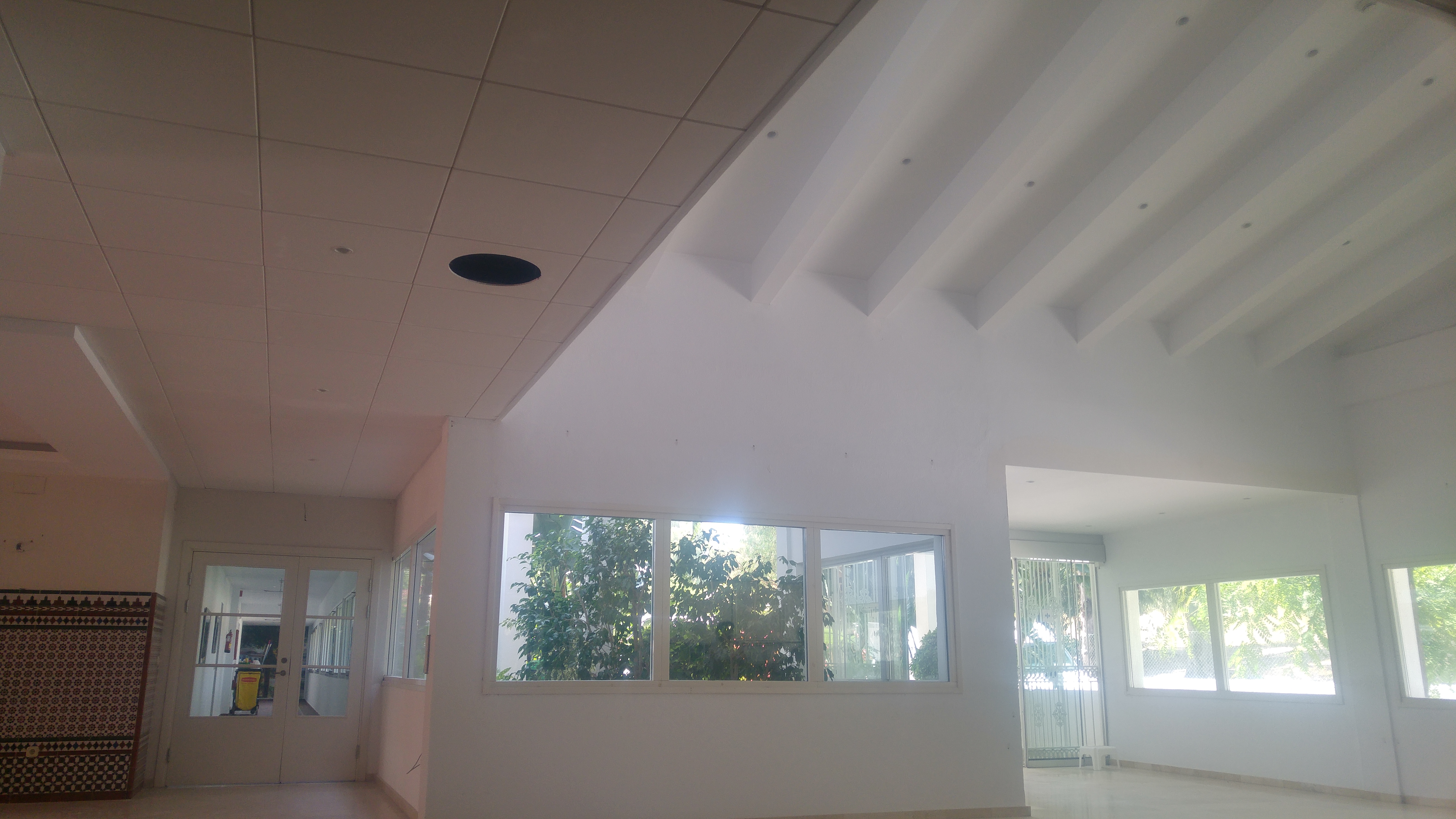 Techos desmontable y Pladur