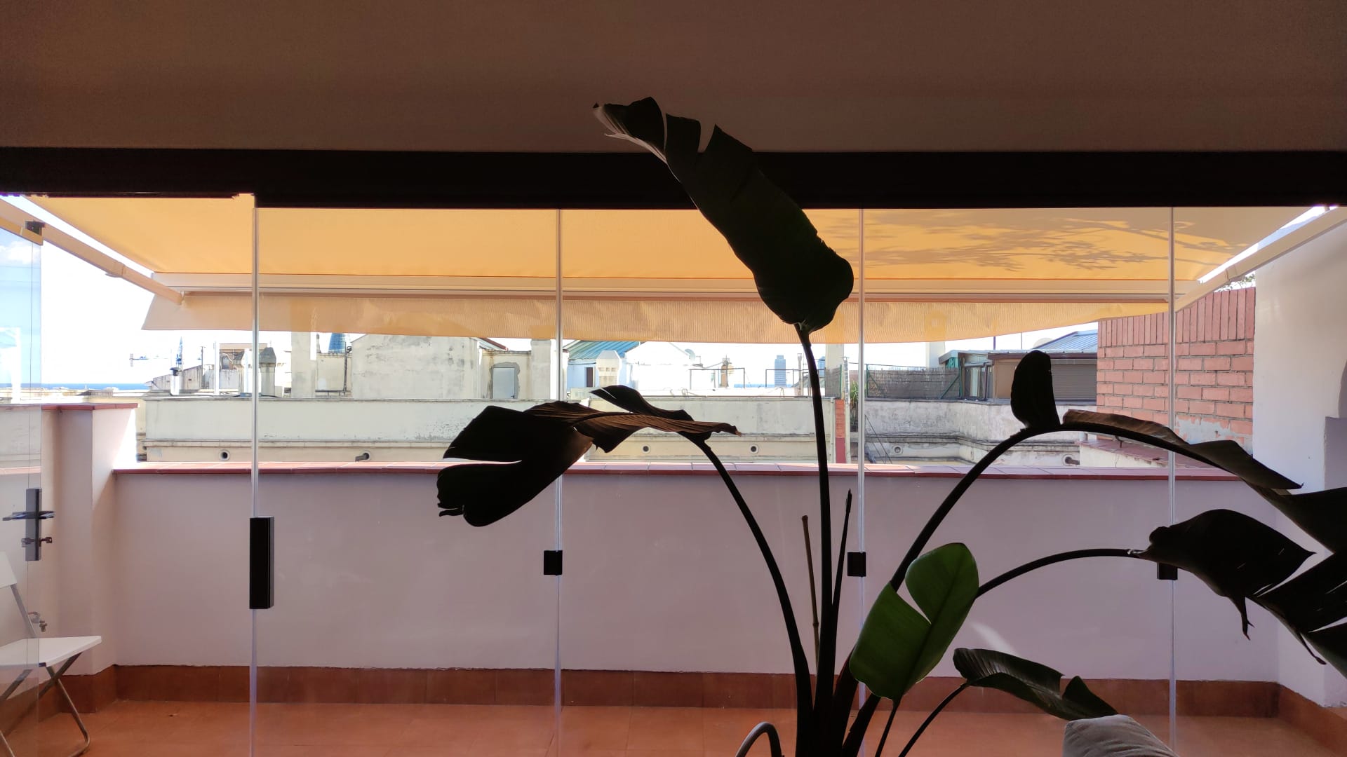 TOLDO BRAZO EXTENSIBLE