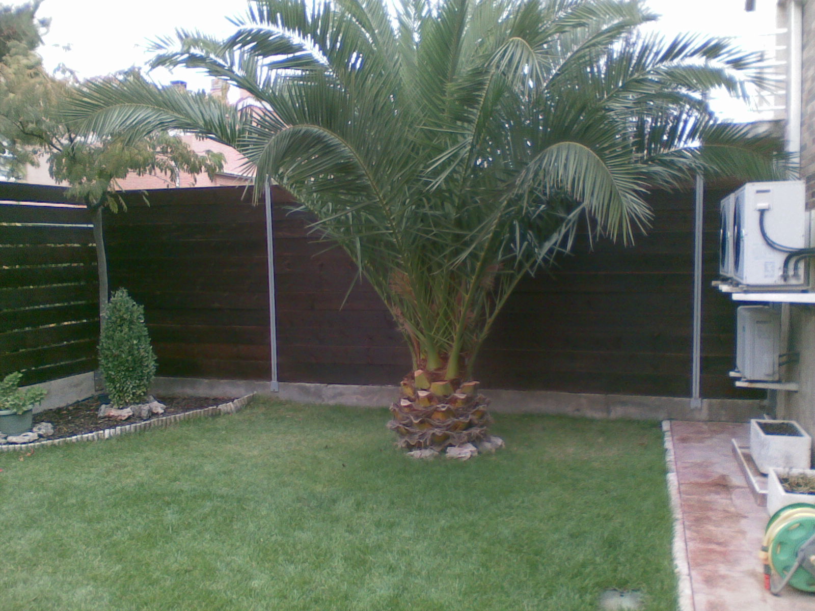 CERRAMIENTO PINO TRATADO