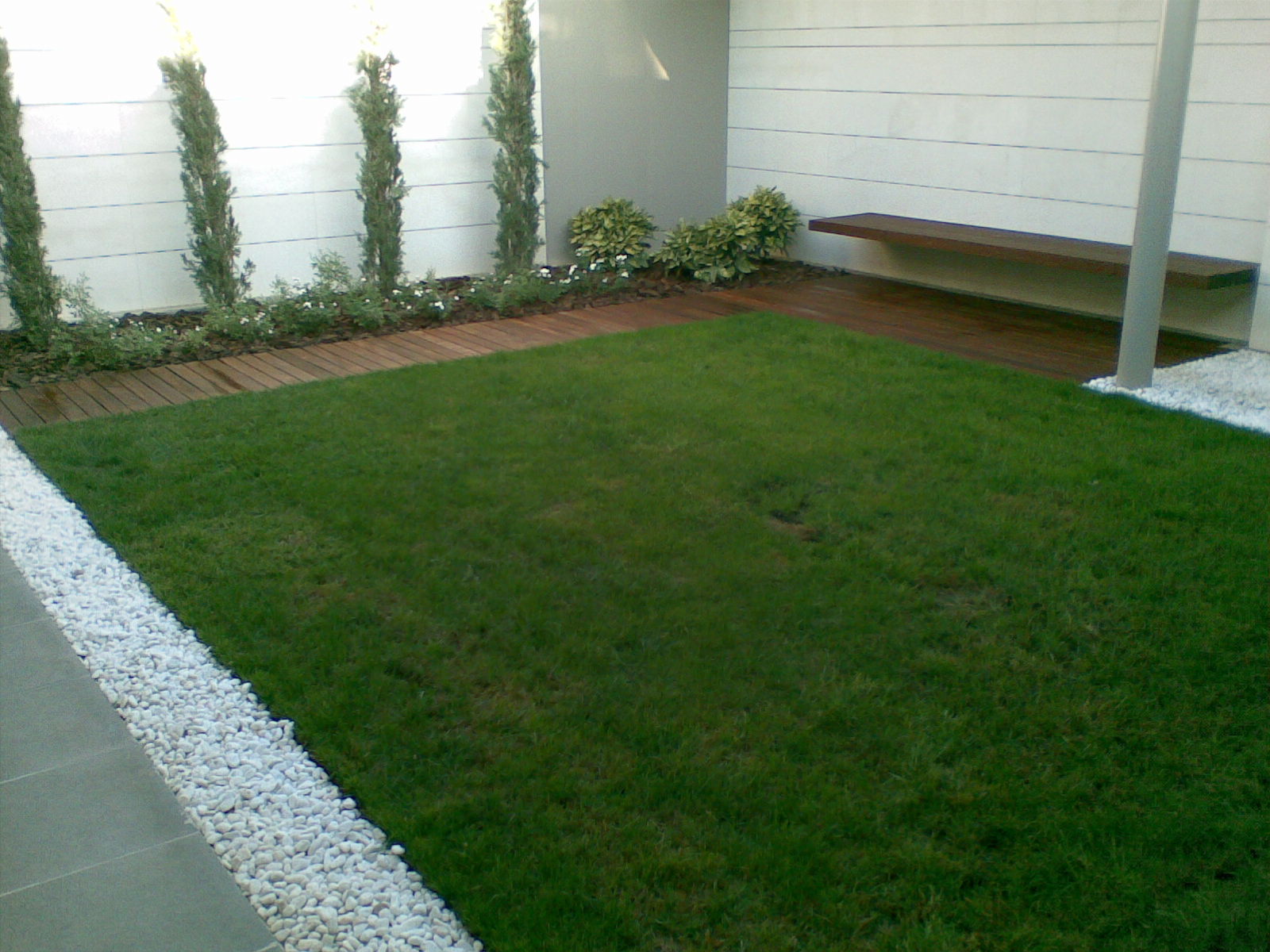 SUELO TROPICAL Y BANCO VOLADO