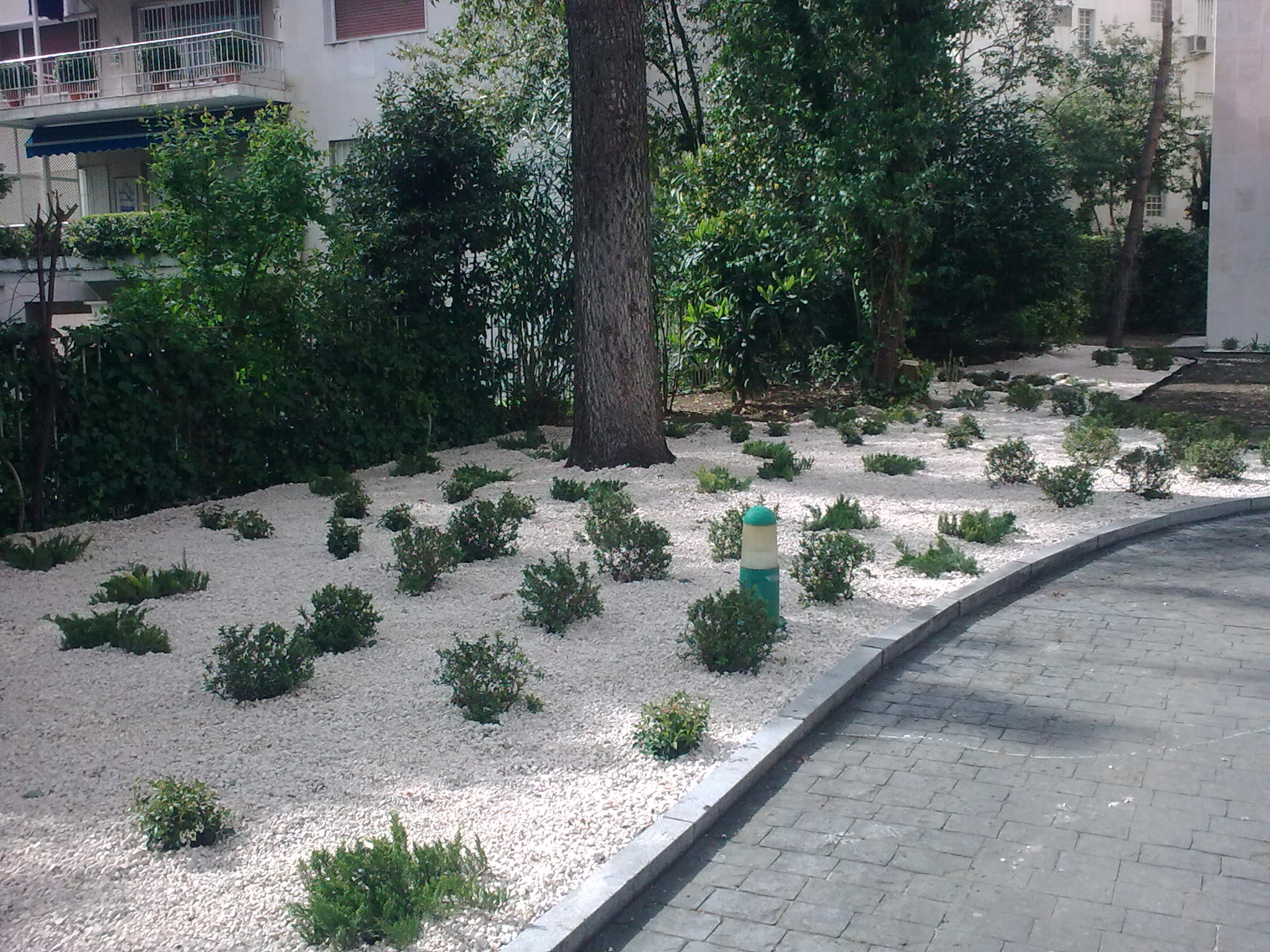 Arriates y borduras.