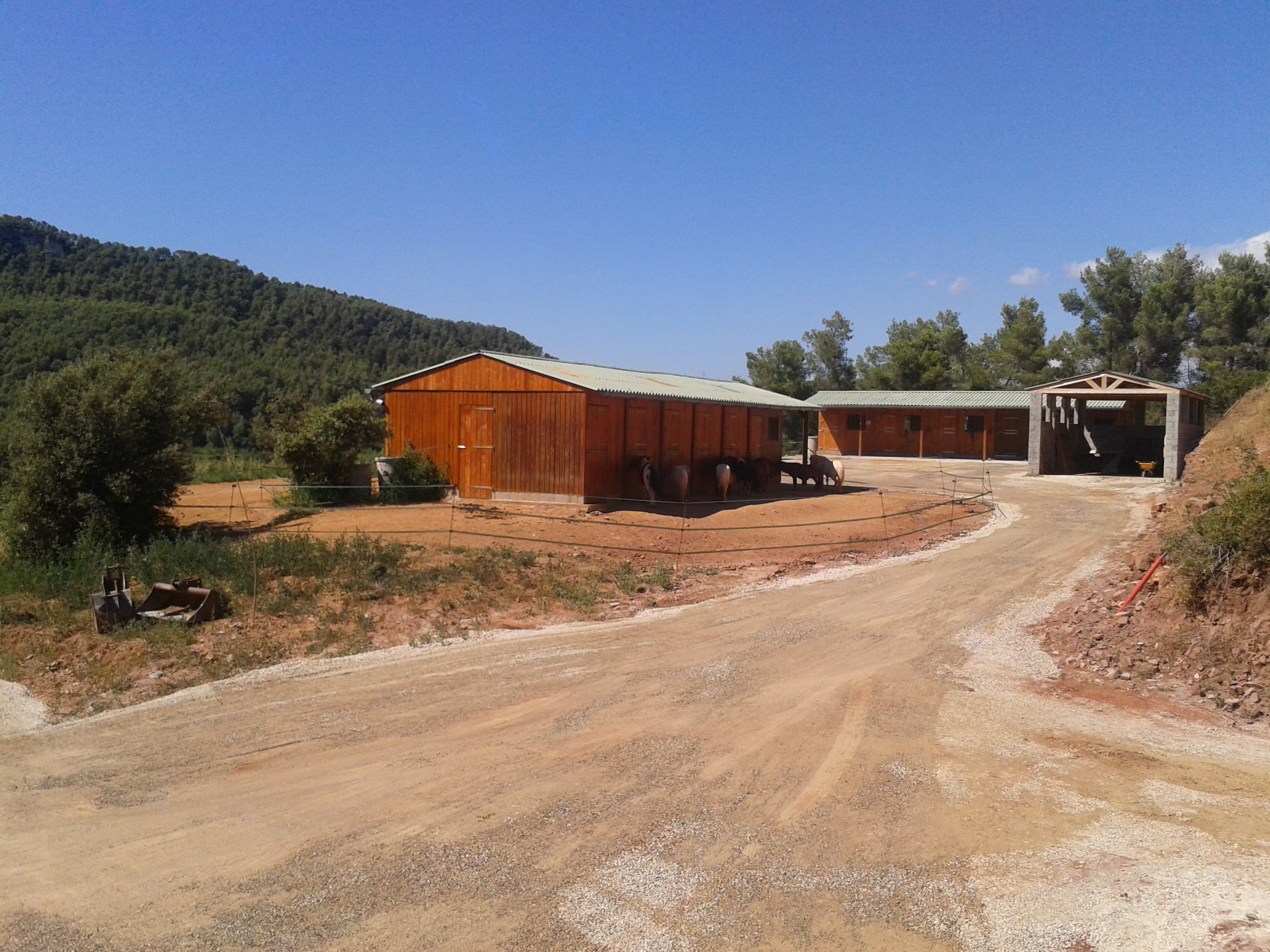 Creación de proyecto