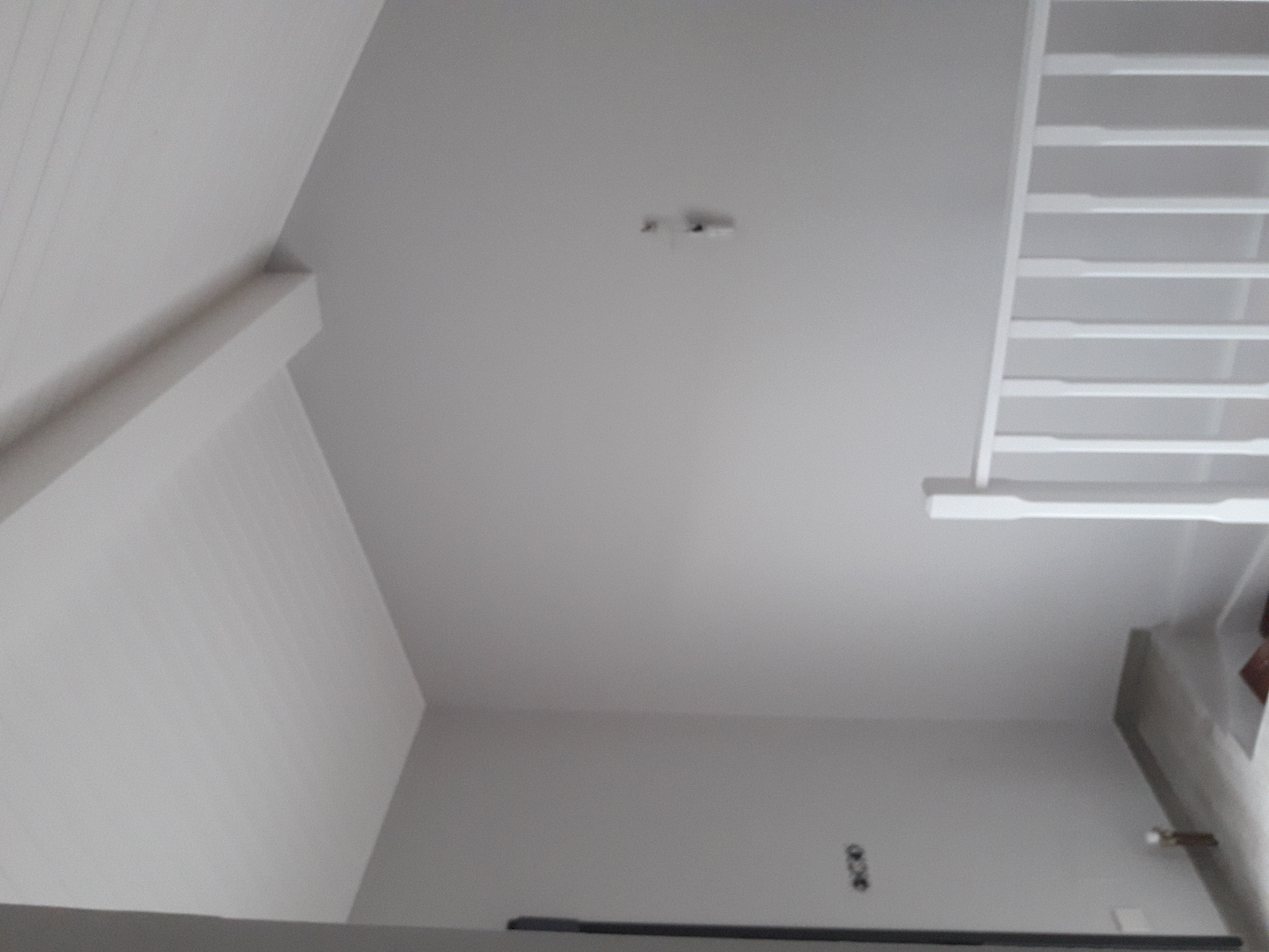 Pintado de abuardillado