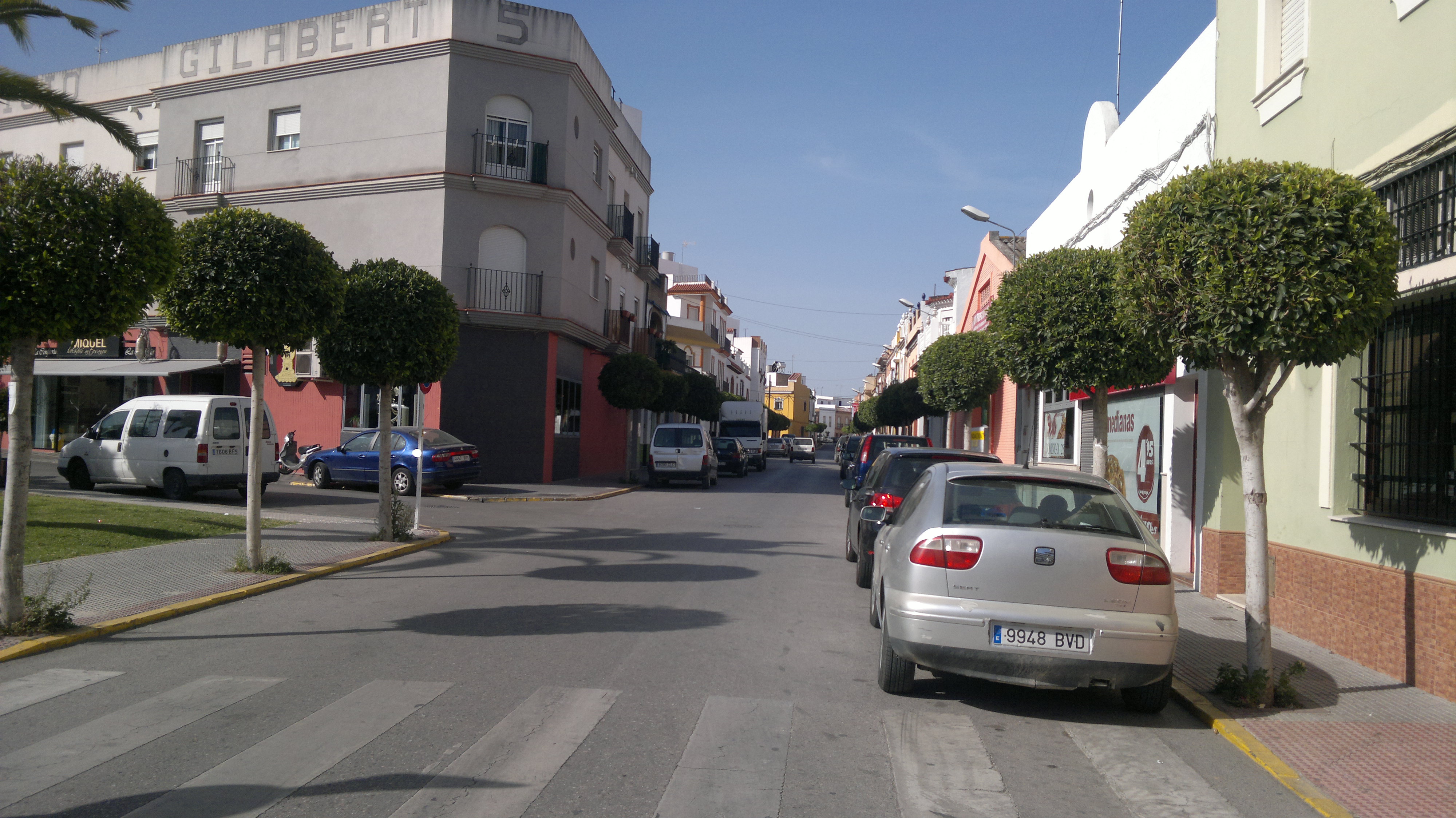 arboleda en calle Vicente Aleixander