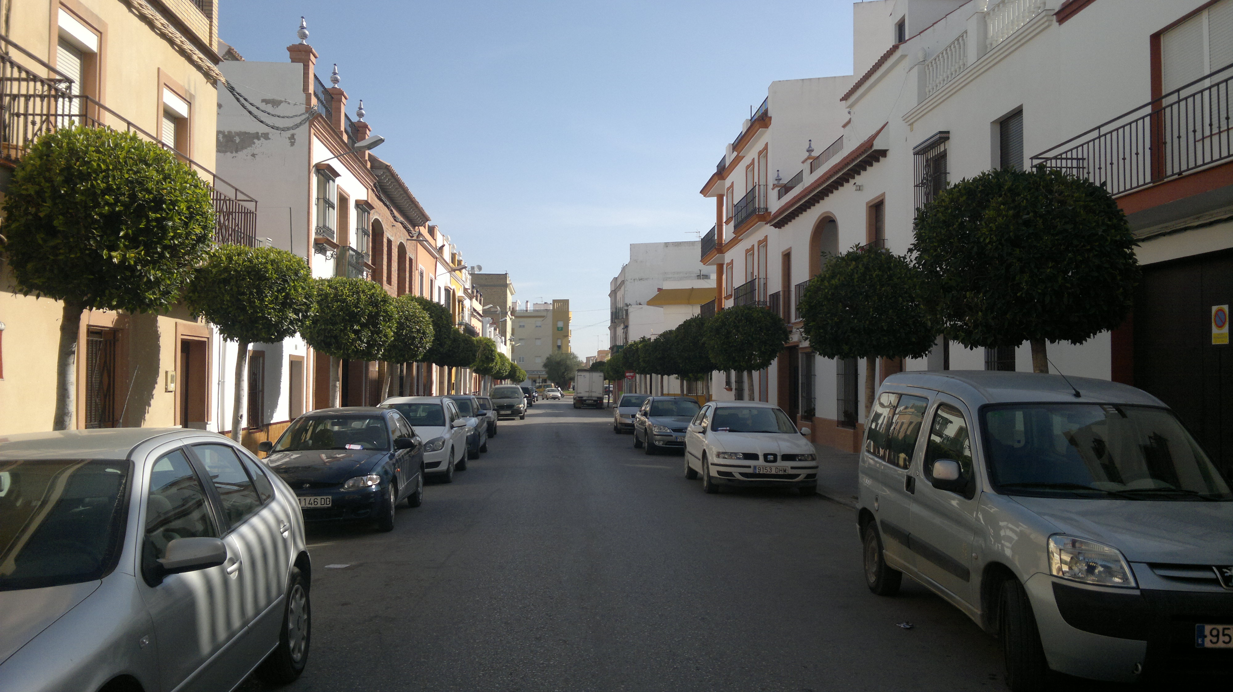 arboleda en calle betis