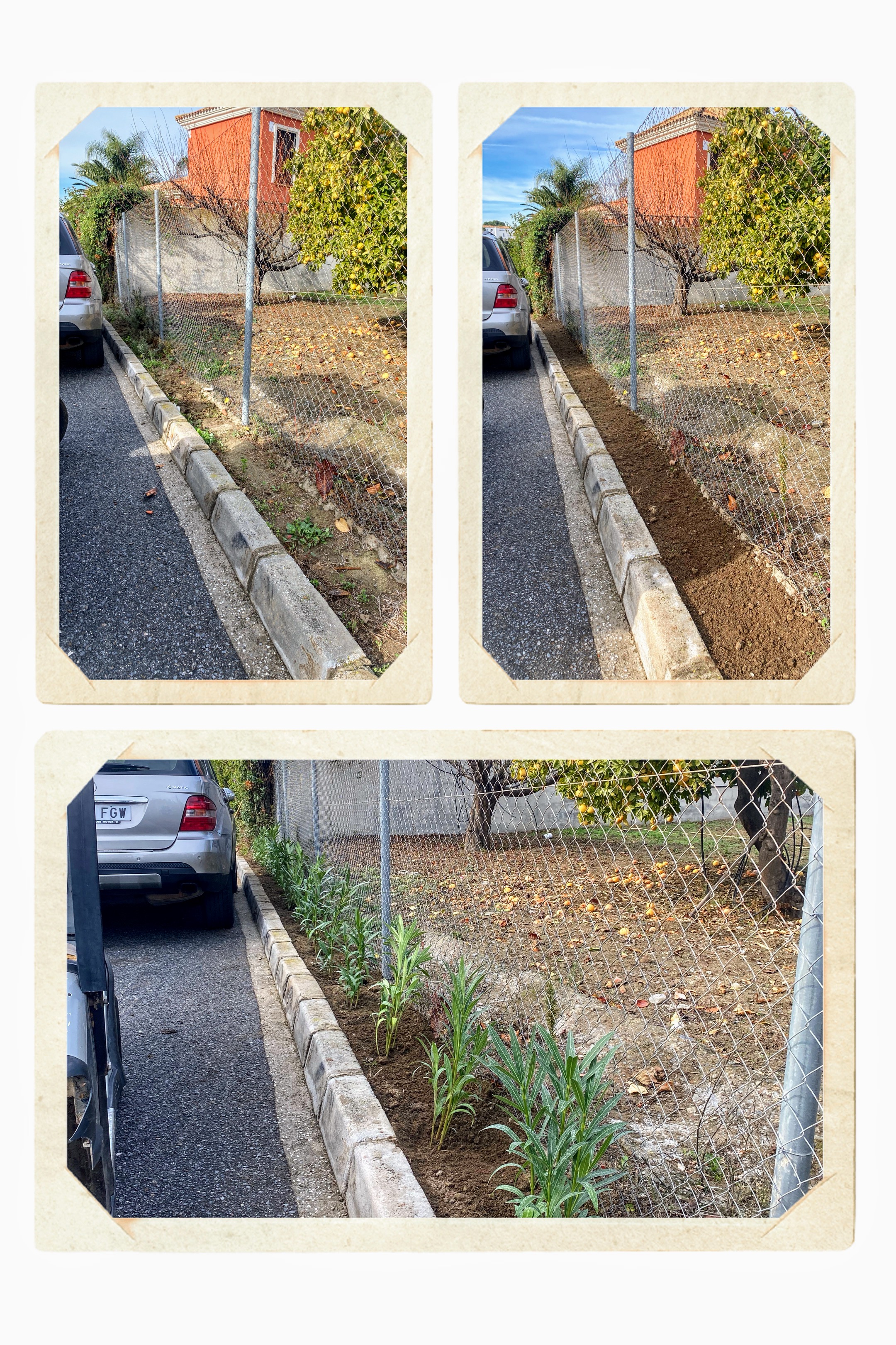 Renovación de zona.