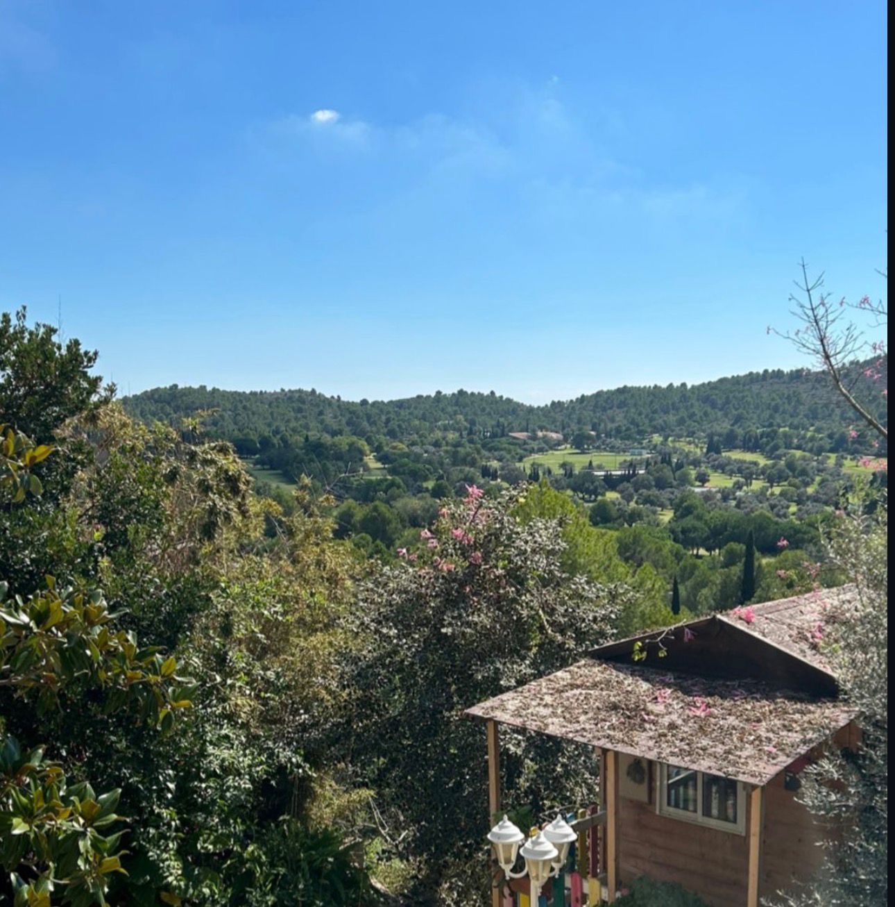 Talar árbol y quitar el peligro que ocasionaba para la casa