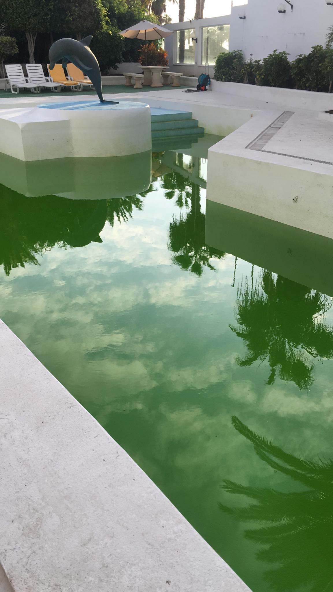 Piscina antes de nuestra actuación