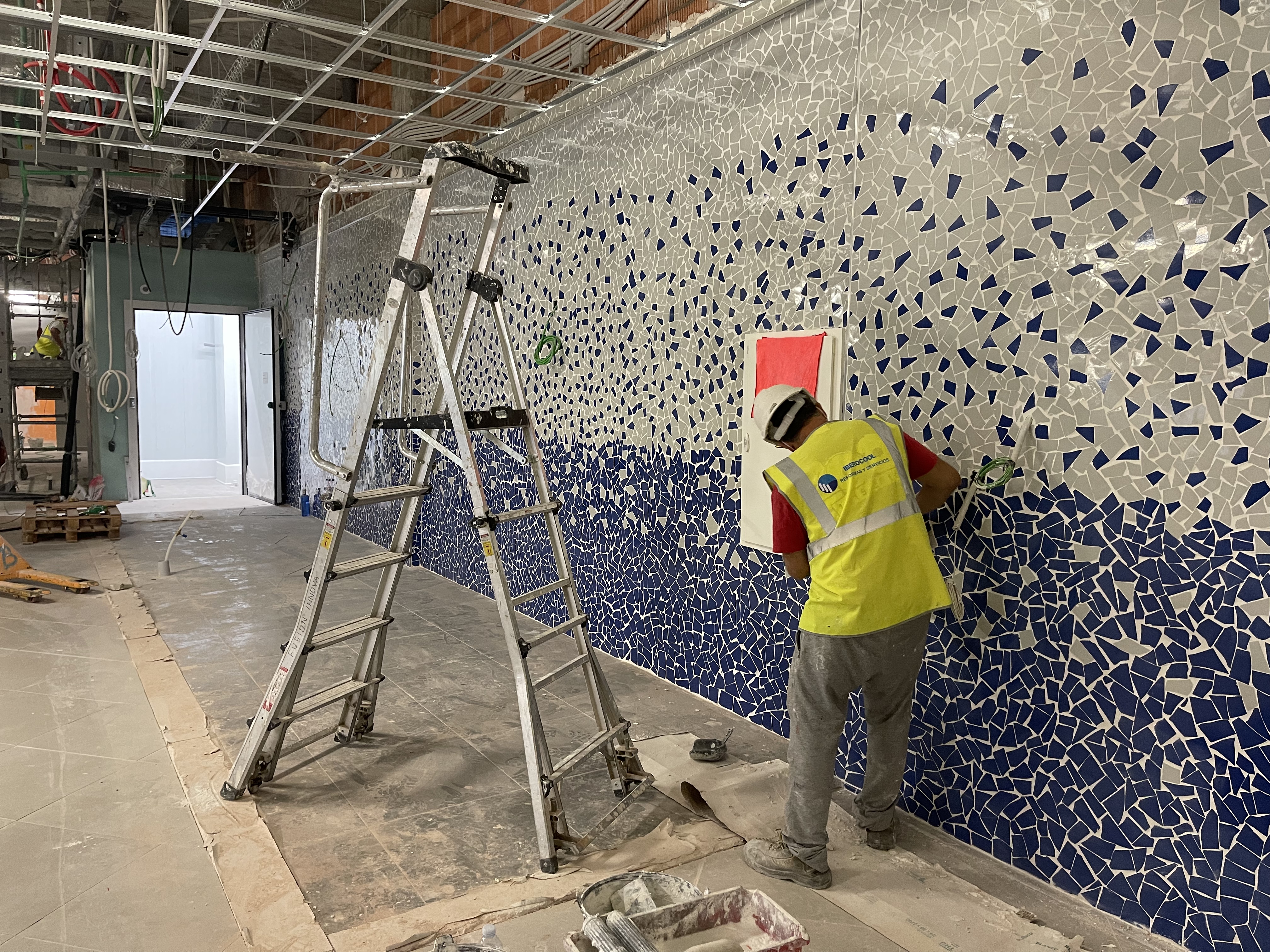 Alicatado de pescadería y zona húmeda