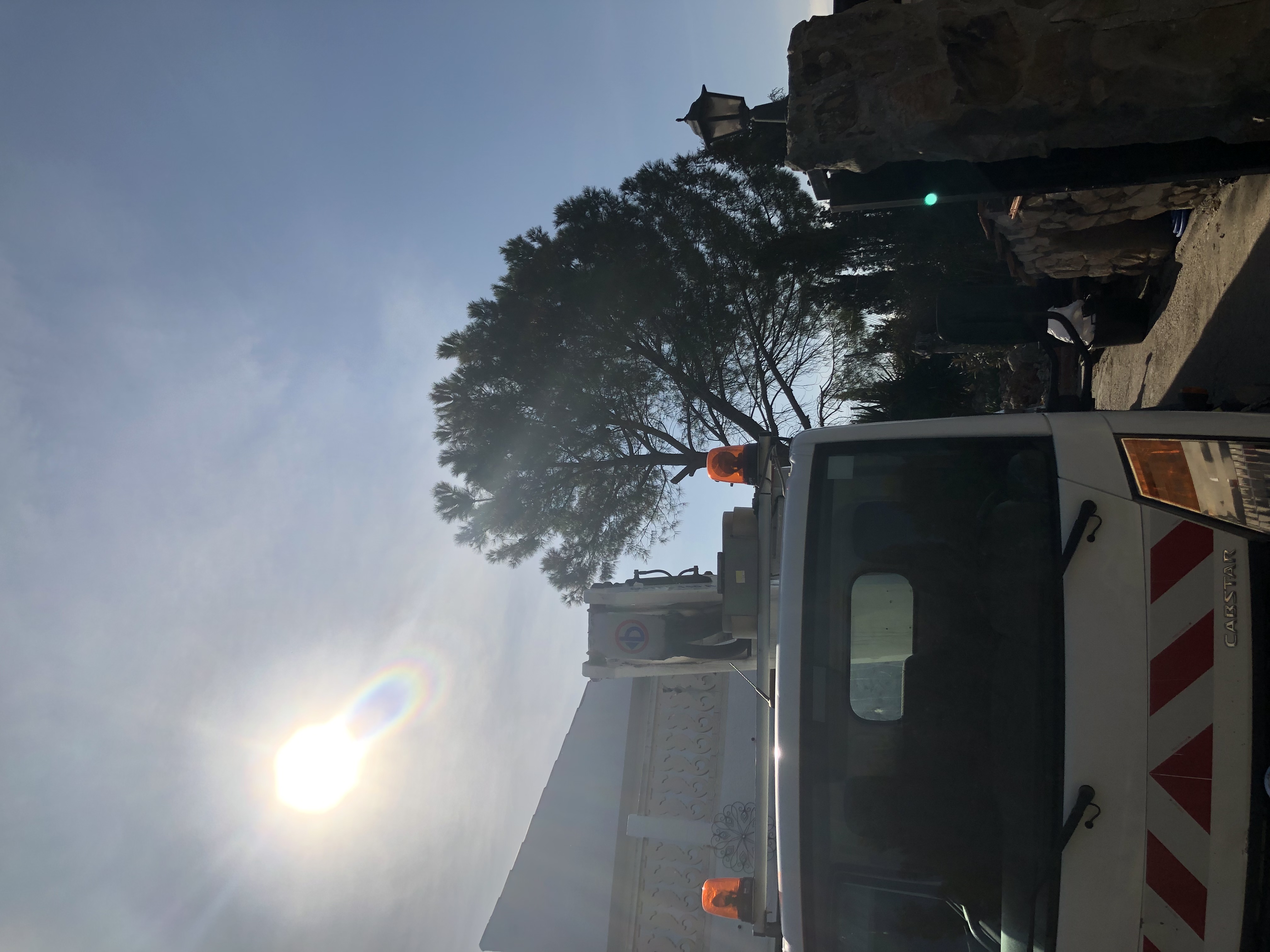 TALA EN ALTURA CON GRÚAS