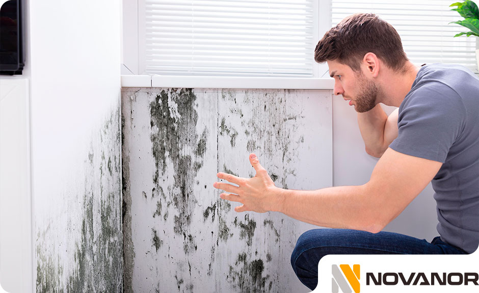 Humedades en paredes