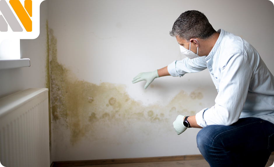 Humedad en pared y diagnóstico