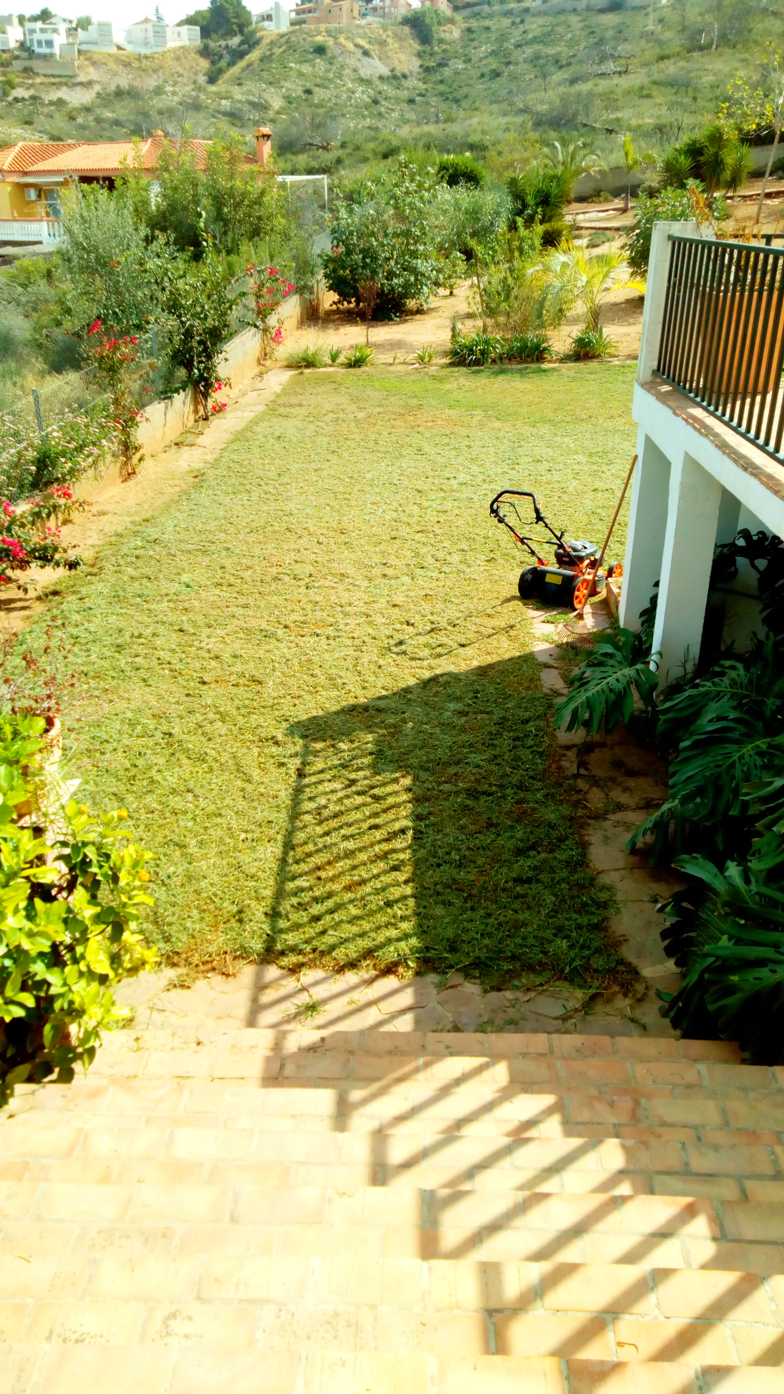 Mar de cesped a la altura ideal