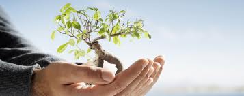 Ardeca apuesta por el medio ambiente