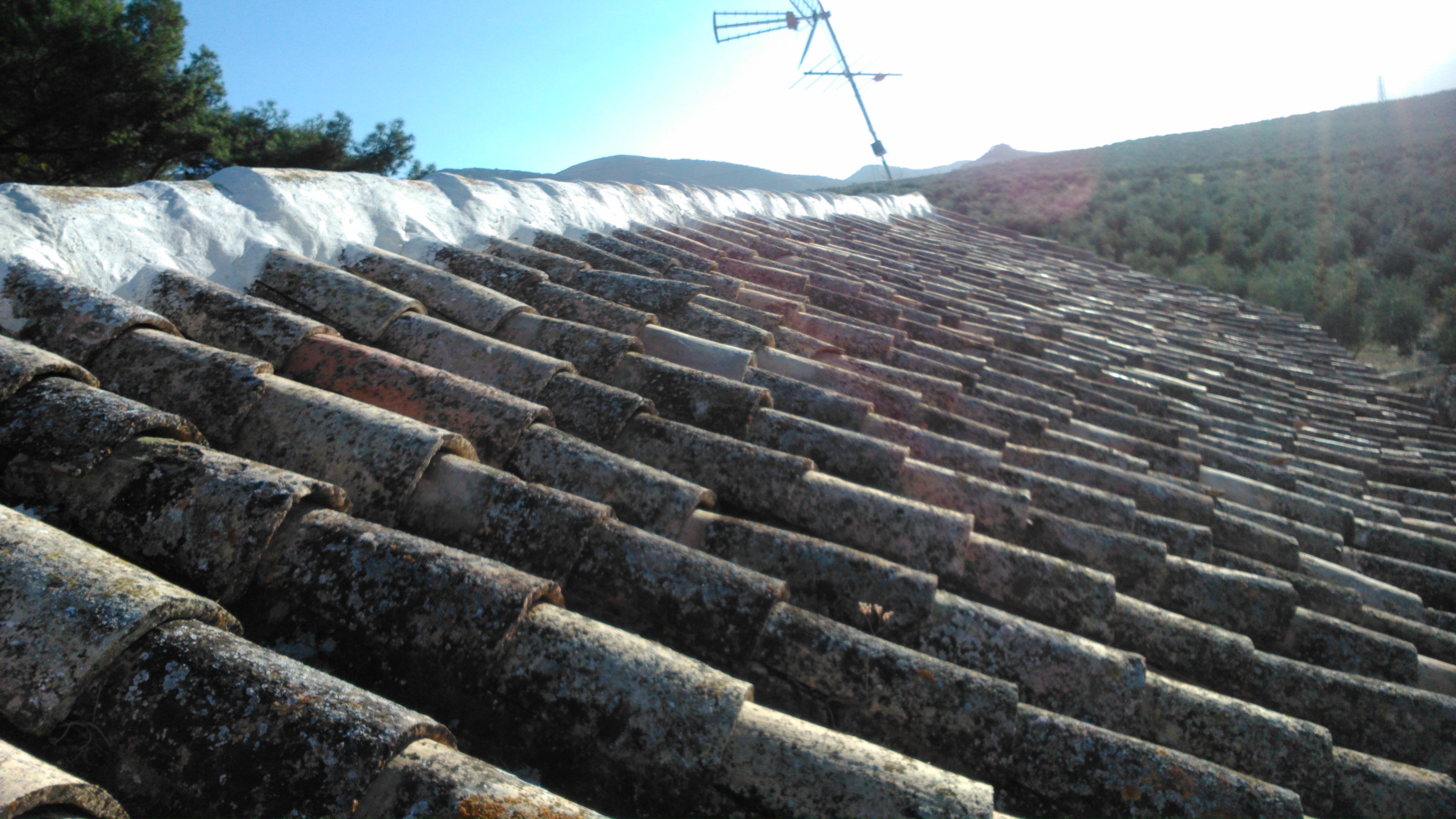 Arreglo y limpieza de Tejado, Y enlucido de caballetes.Así quedó