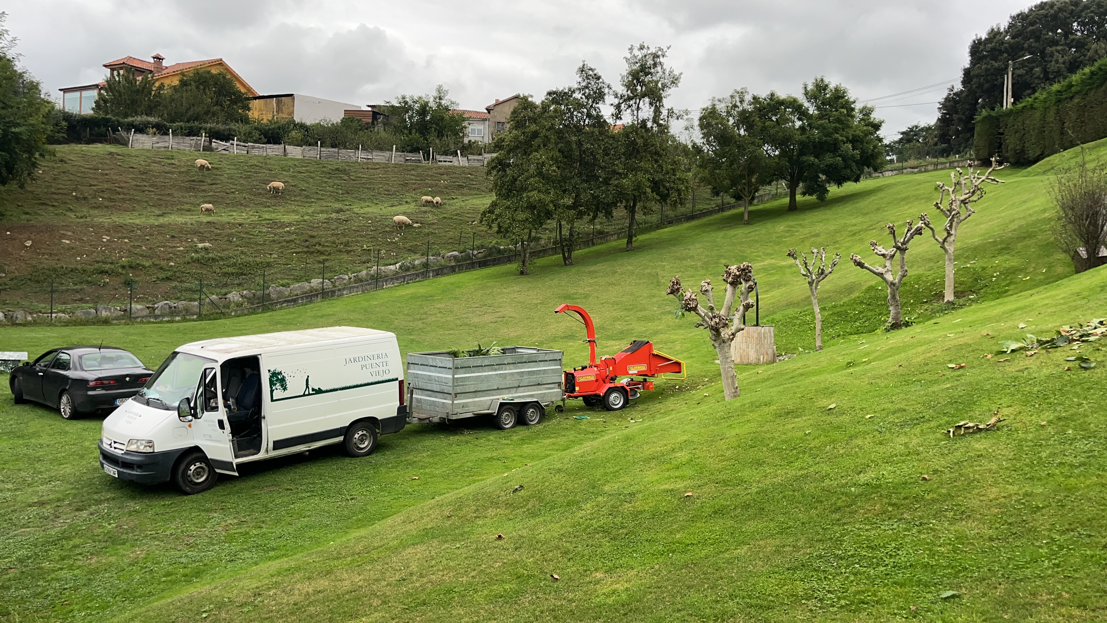 Poda y triturado de arboles