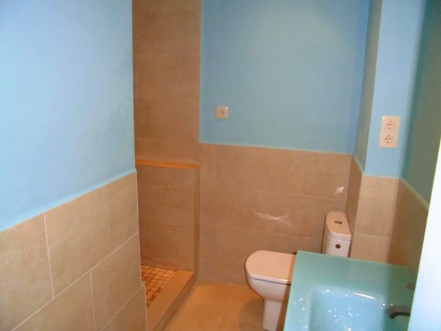 Baño mitad pintado, mitad alicatado II