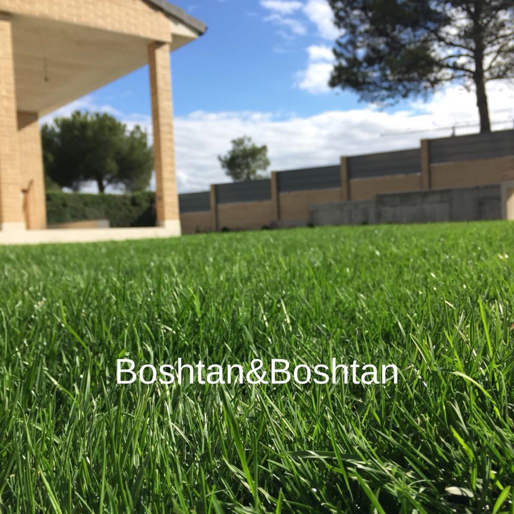 Césped natural por tepe