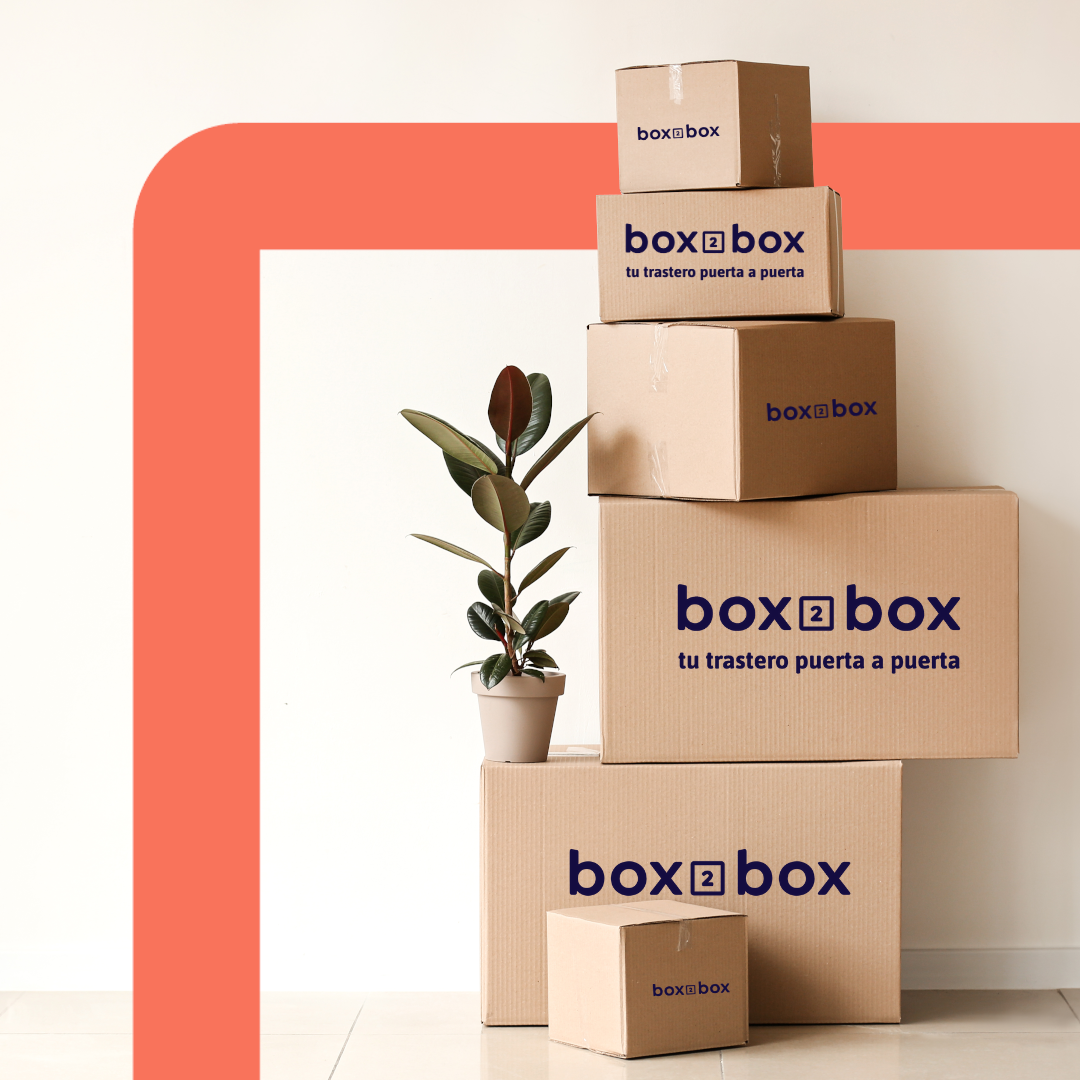 Box2box Cajas
