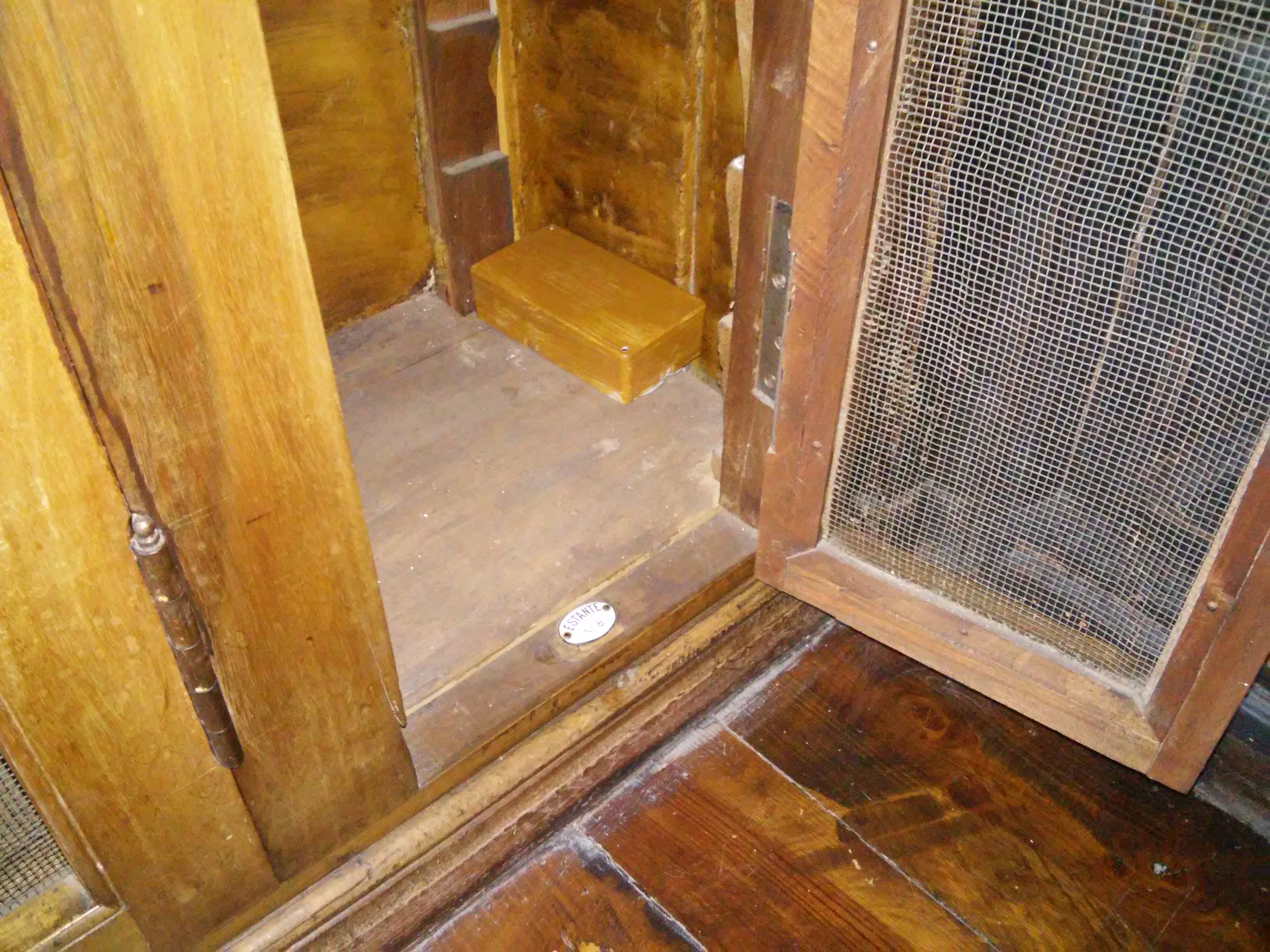 tratamiento contra termitas en pazo hoitel