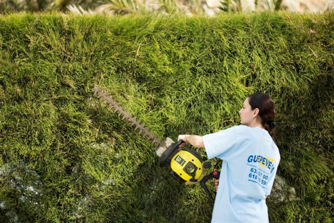 Corte de setos y arbustos