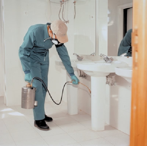 Desinsectaciónes, Desinfecciones