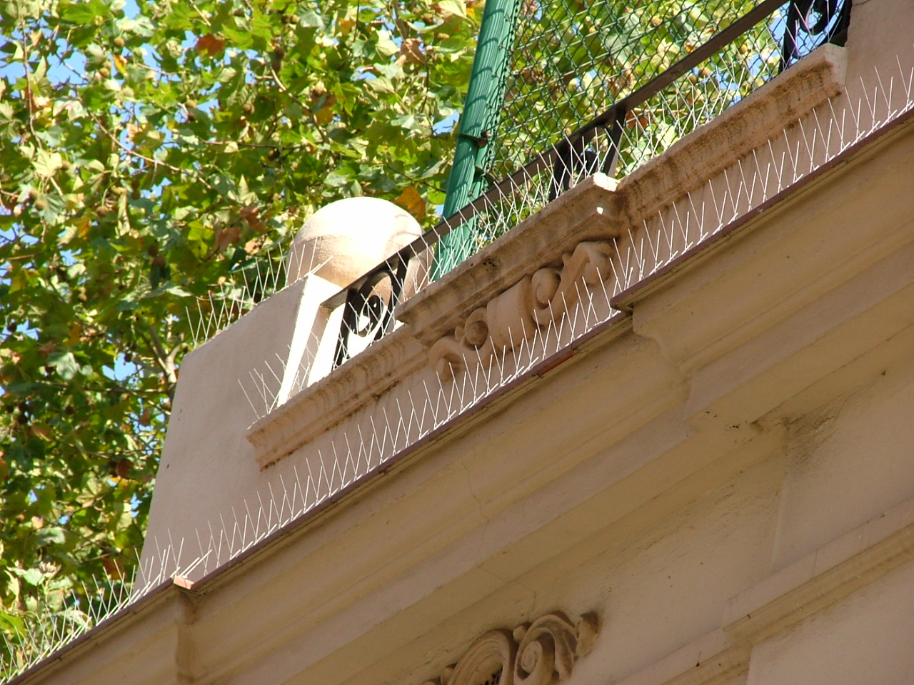 Instalación de púas antipalomas