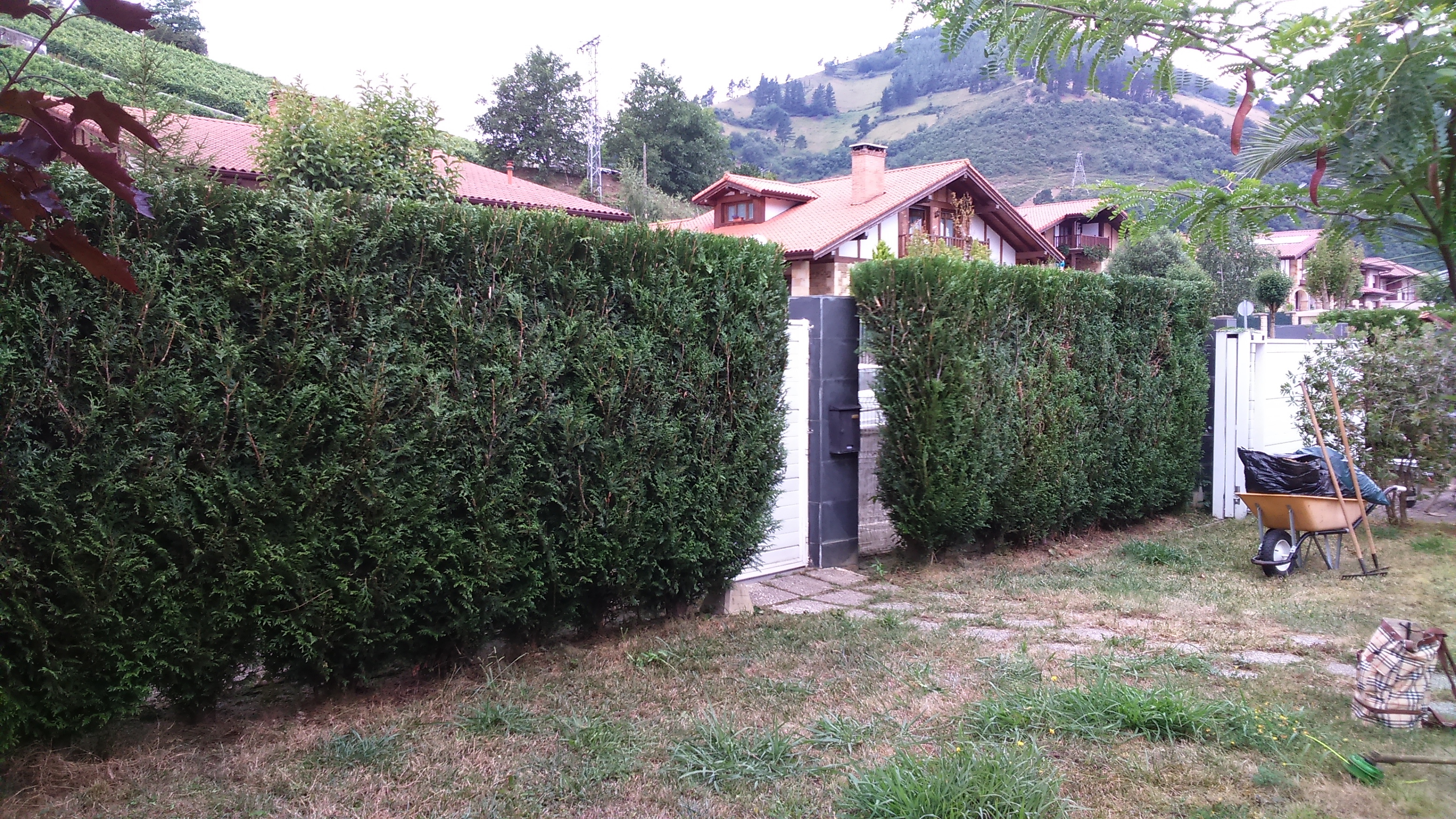 Jardin recien trabajado