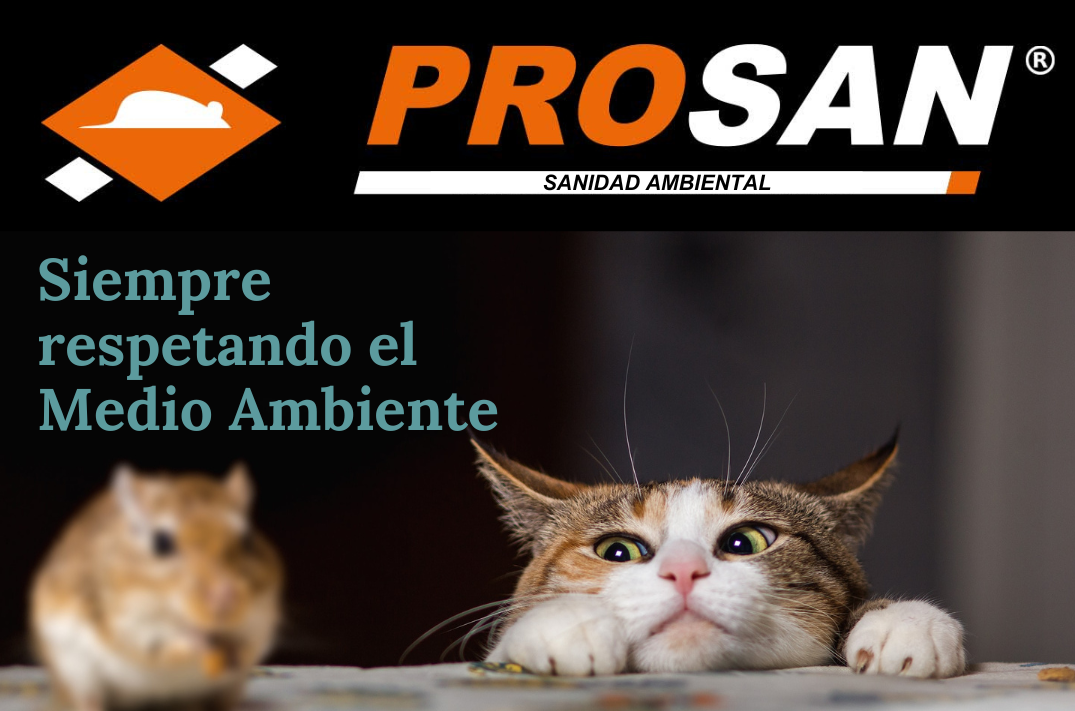 PROSAN Sanidad Ambiental